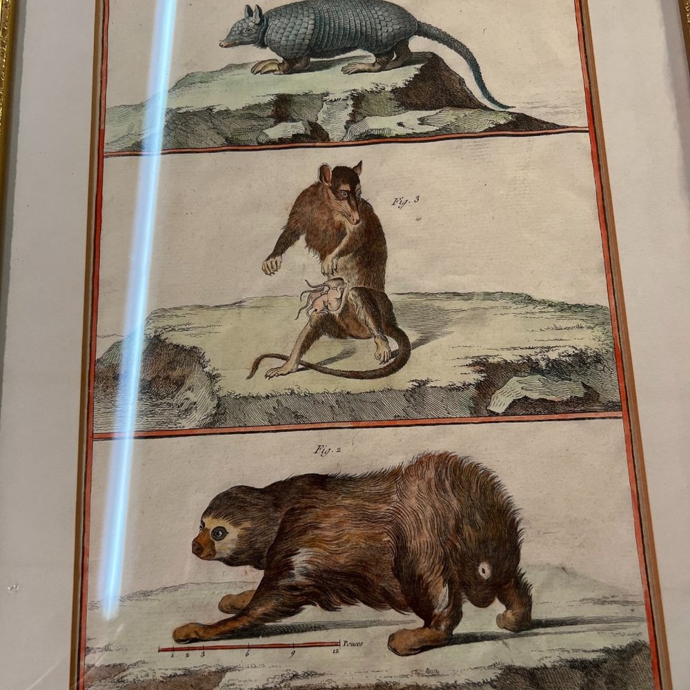 18th Century, Paris, Vintage hand colored prints